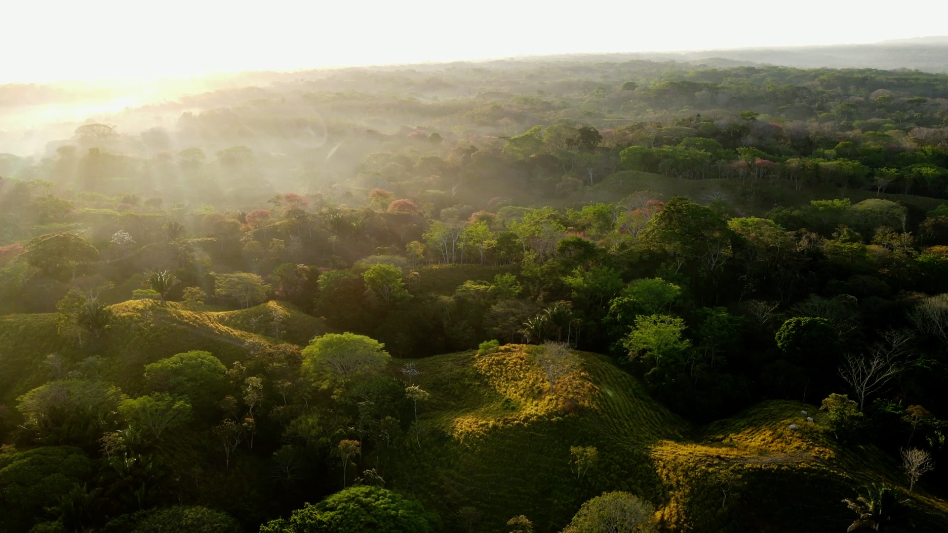 Aerial study of a Costa Rican property